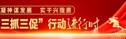 凝神谋发展  实干兴陇原   “三抓三促”行动进行时