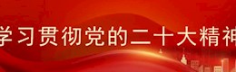 学习贯彻党的二十大精神