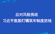 央视网：   联播+丨应对风险挑战 习近平殷殷叮嘱筑牢制度防线