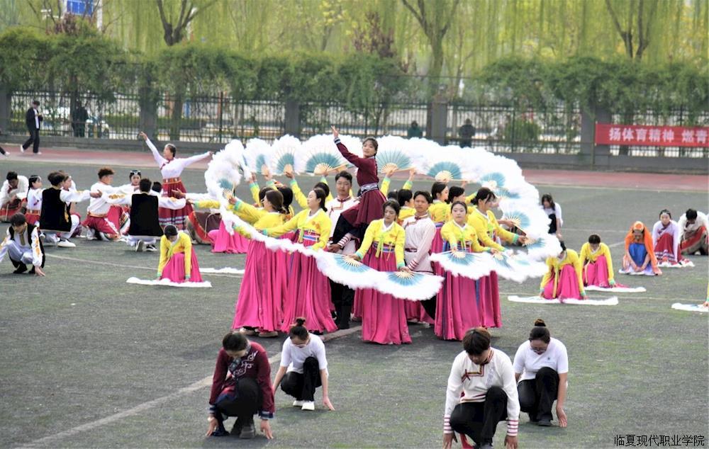 c384ac7a2cd0452c8915ea0839a00326.jpg