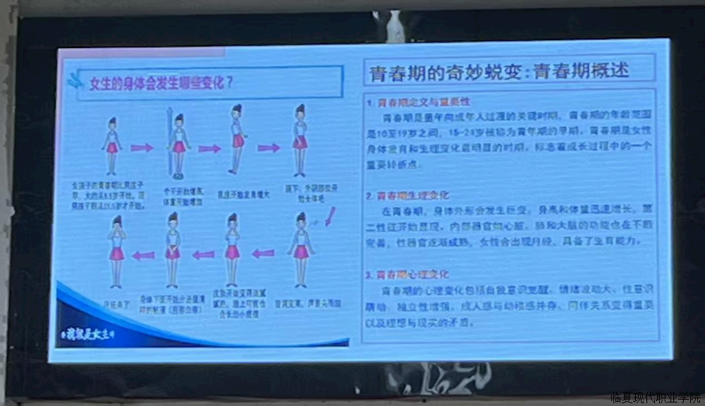 3e4b3e2eb2d14e5f8578e1fe913ff962.png 3e4b3e2eb2d14e5f8578e1fe913ff962.png