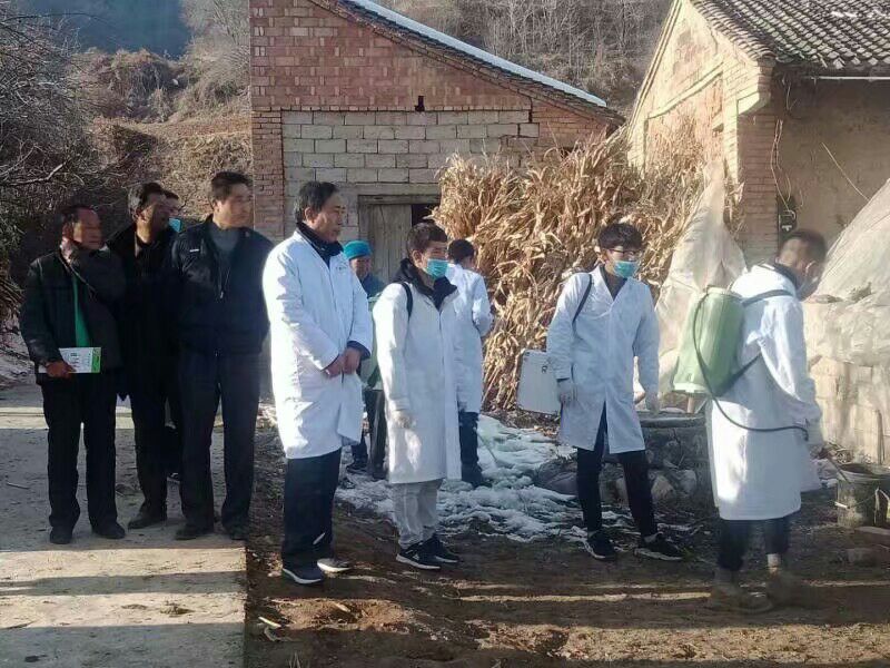 QQ图片20181220113821.jpg