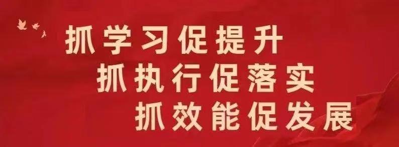 抓学习促提升抓执行促落实抓效能促发展