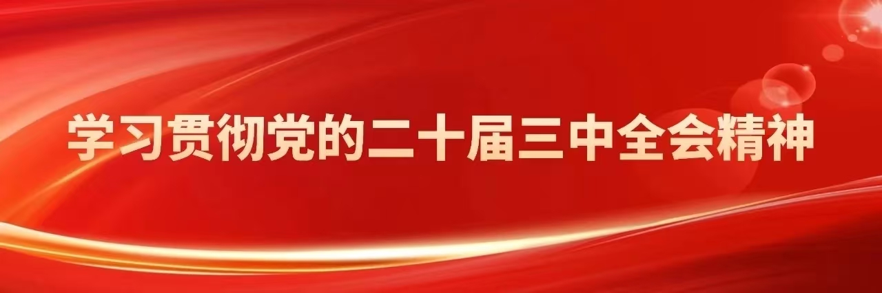 学习贯彻党的二十届三中全会精神