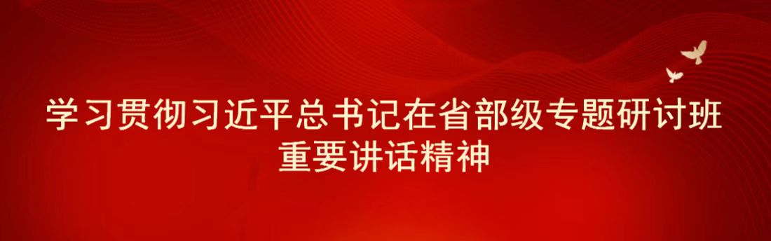 学习贯彻习近平总书记在省部级专题研讨班重要讲话精神